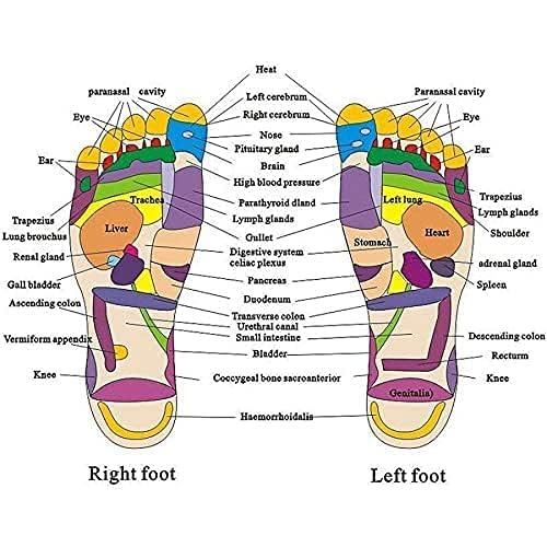 AQUACARE Magnetic Therapy Paduka Slippers | Acupressure | Blood Circulation Slippers Foot Massager For Men and Women (Unisex) |  Pack of 1